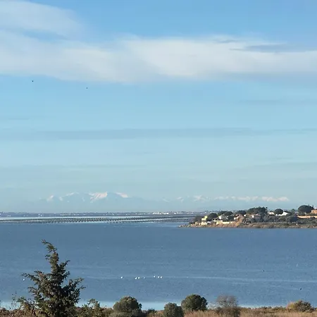 Le Vieux Superbe Dans Maison Médiévale Avec Terrasse Et Vue Lagune De Thau Appartement *